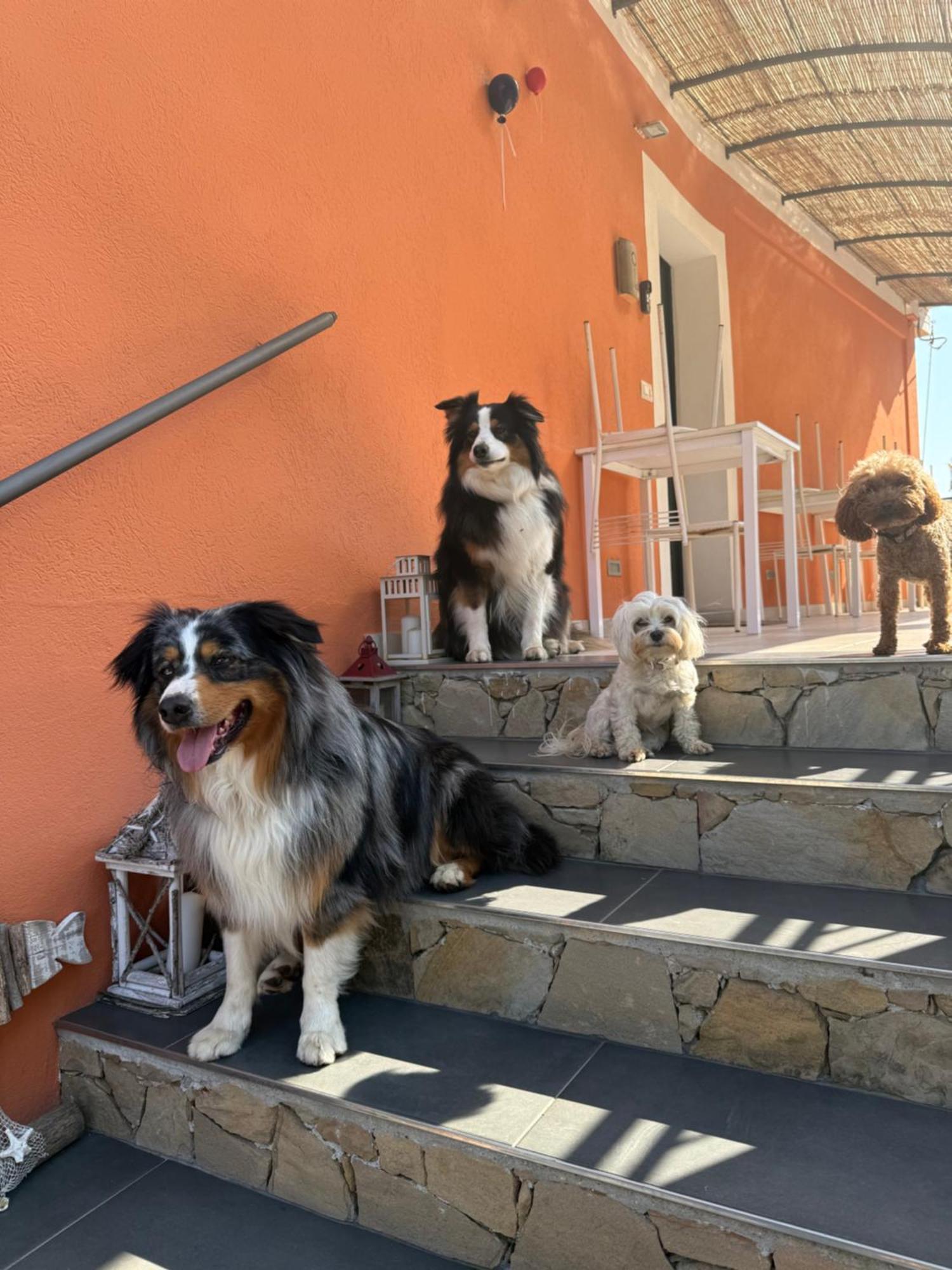 Agriturismo Un Mare di Fiori Ventimiglia Exterior foto