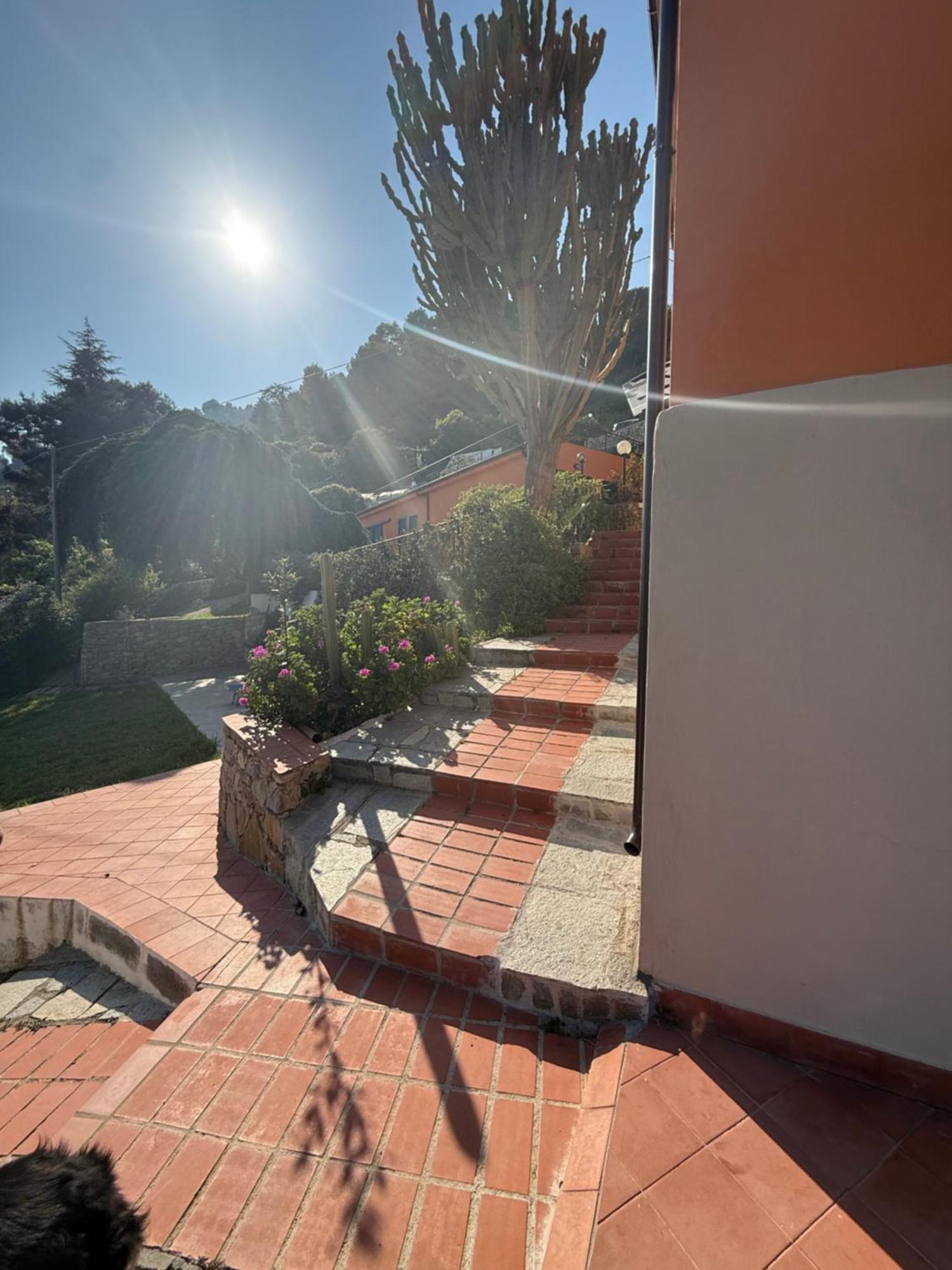 Agriturismo Un Mare di Fiori Ventimiglia Exterior foto