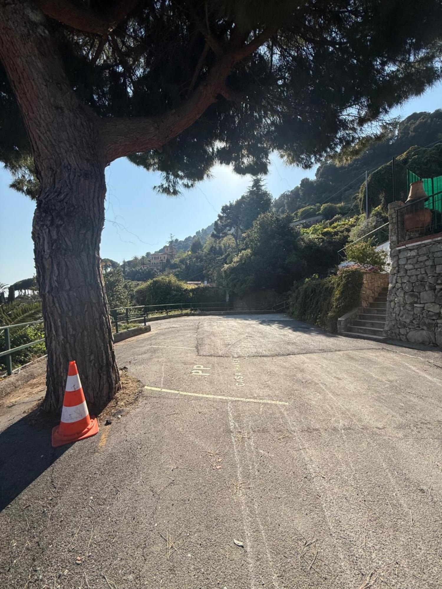 Agriturismo Un Mare di Fiori Ventimiglia Exterior foto