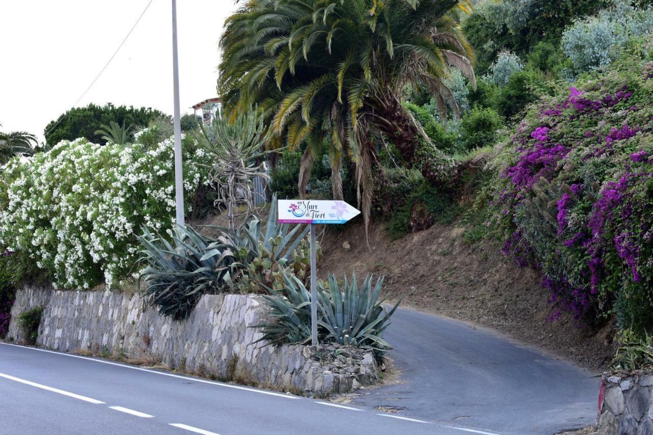 Agriturismo Un Mare di Fiori Ventimiglia Exterior foto