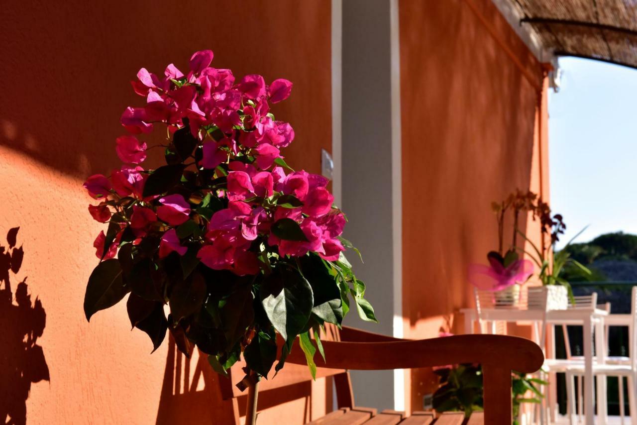 Agriturismo Un Mare di Fiori Ventimiglia Exterior foto